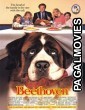 Beethoven (1992) Hollywood Hindi Dubbed Full Movie