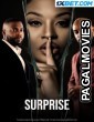 Surprise (2023) Hollywood Hindi Dubbed Full Movie