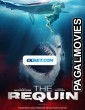 The Requin (2022) Bengali Dubbed