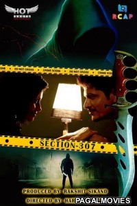 Section 370 (2020) Hindi HotShots WEB Full Hot Movie