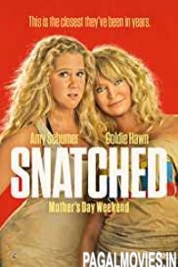 Snatched (2017) Hindi Dubbed Movie