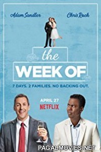 The Week Of (2018) English Movie